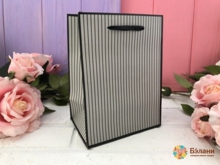 Geantă Cadou „Dunga Elegantă” Gri Xs