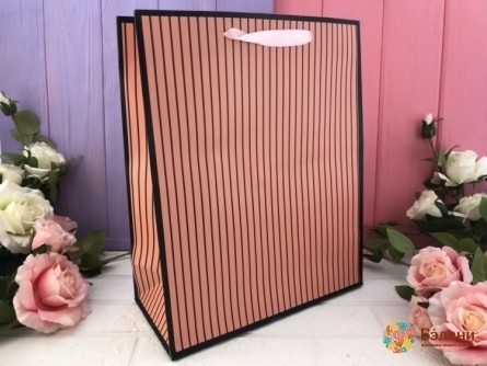 Geantă Cadou "fâșie Elegantă" Pulbere L