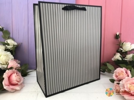 Geantă Cadou „Dunga Elegantă” Gri L