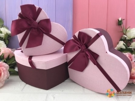 Cutie Suculentă În Formă De Inimă Roz