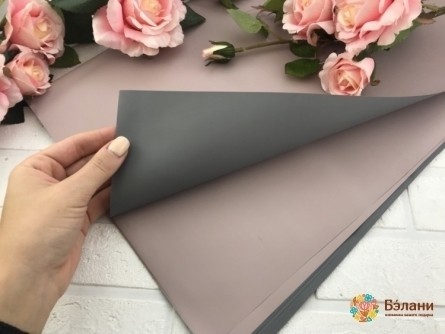 Urmărirea Hârtiei Bilaterale Gri-Pusovy