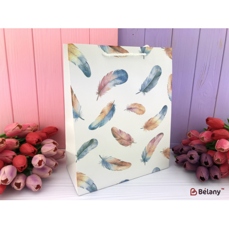 Geanta Cadou "pene" S