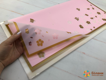 Urmărirea Hârtiei "în Luncă"