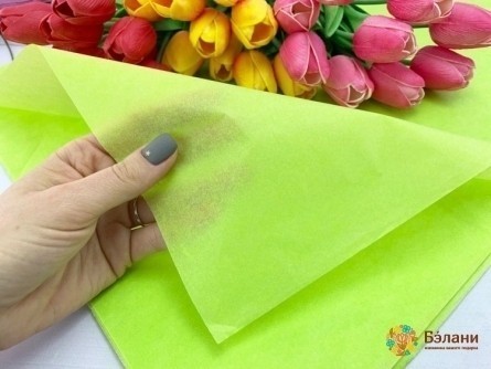 Hârtie Liniștită De Var