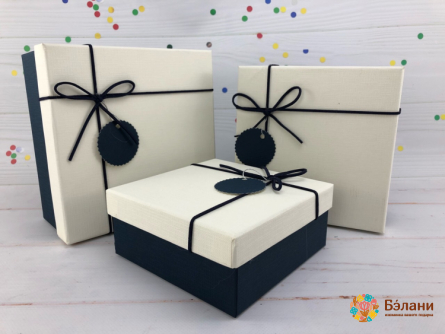 Cutie Cadou Alb-Albastru