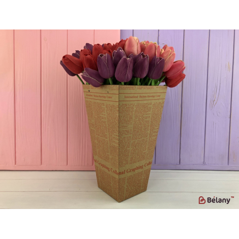 Cutie Pliantă „Ziarul” Roșu