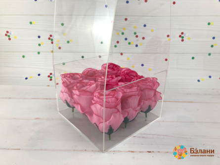 Cutie Transparentă „Plexiglas” Sub Braț 18/18/40