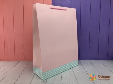 Geantă Cadou "culoare Și Linie" Roz L