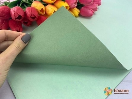 Hârtie Pentru Flori „Bilaterale” Verde Și Var