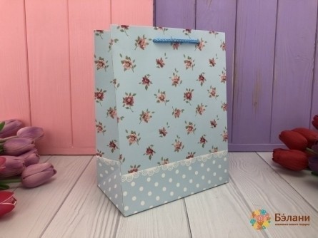 Saci Cadou "pe Teren" L