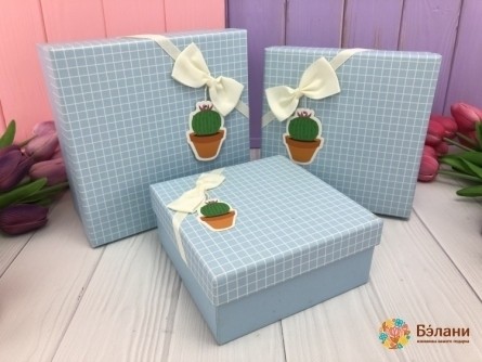 Cutie Cadou Albastru "cactus"