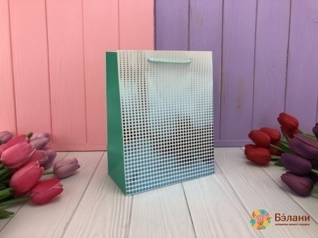 Saci Cadou "oglinda Ambre" S