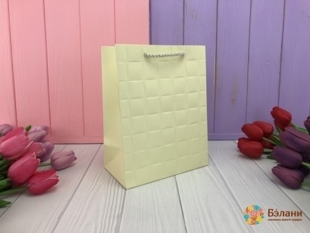 Geantă Cadou „Prestige” Champagne S