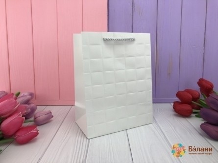 Geantă Cadou „Prestige” Alb S