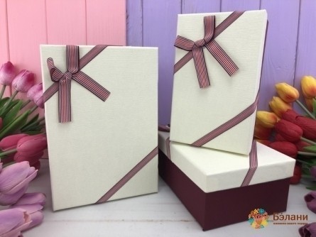 Cutie Cadou "delicat" Alb