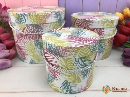 Cutie De Flori Insula Comorilor Alb