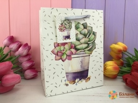 Pachet Cadou "cactus" S