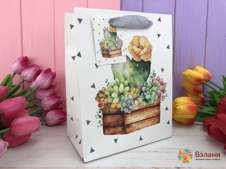 Pachet Cadou "cactus" S