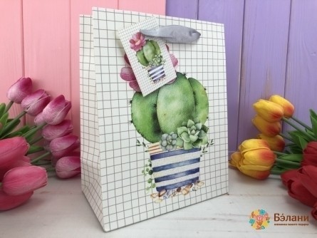 Pachet Cadou "cactus" S