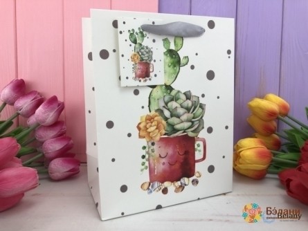 Pachet Cadou "cactus" M