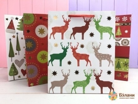 Pachetul De Revelion "polul Nord" M