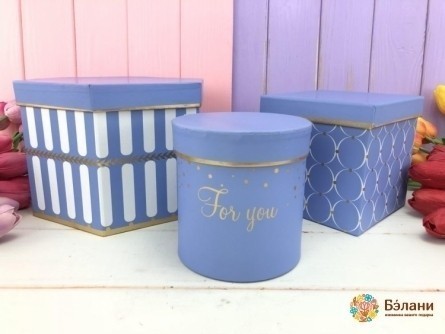 Cutie Pentru Flori „Forme” Albastre