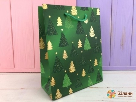 Pachetul De Anul Nou „Sărbători” L