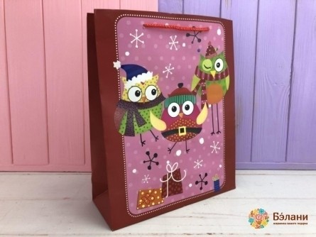 Pachetul De Anul Nou "bufnițe De Zăpadă" M