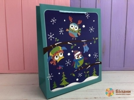 Pachetul De Anul Nou "bufnițe De Zăpadă" M