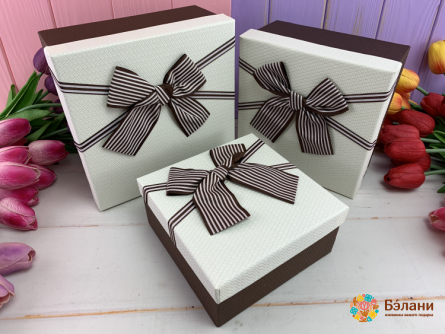 Cutie Cadou "arcul Gri" Alb