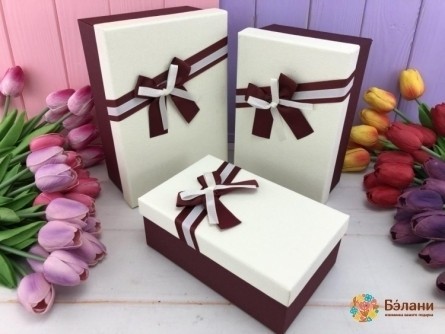 Cutie Cadou „Strălucitor” Alb