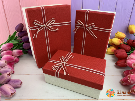 Cutie Cadou „Căutare” Roșu