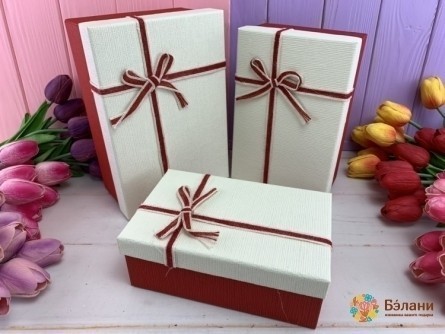 Cutie Cadou „Căutare” Alb