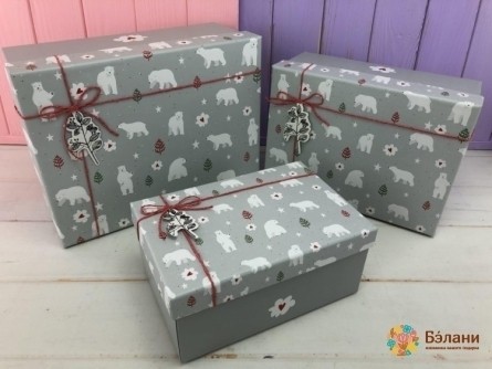 Cutie Cadou "urs Alb" Gri