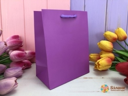 Geantă Cadou "o Culoare" Lila Xs