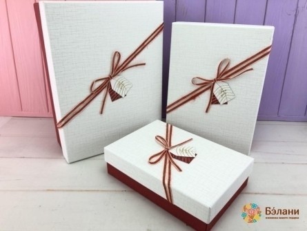 Cutie Cadou "diagonală Frumoasă" Albă