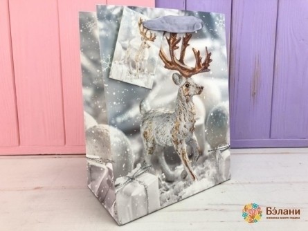 Pachetul De Revelion „Legendele Zăpezii” S