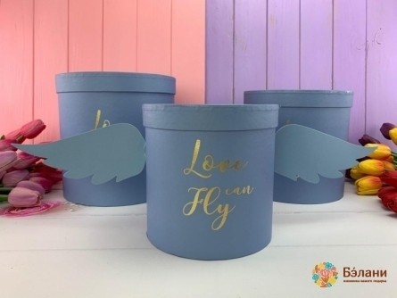 Cutie Rotundă "aripi De Înger" Albastru