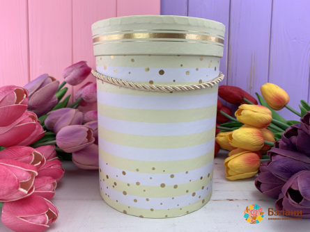 Cutie Rotundă "linii De Aur" Bej