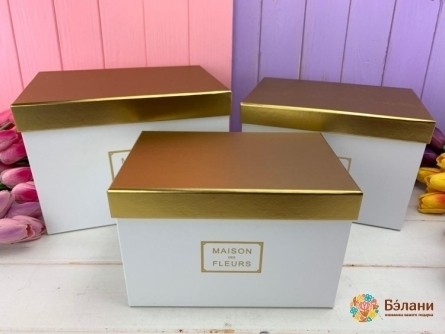 Cutie Dreptunghiulara "casa De Aur" Alb