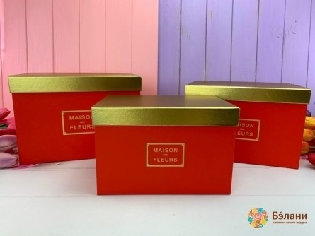 Cutie Dreptunghiulară "gold House" Roșu