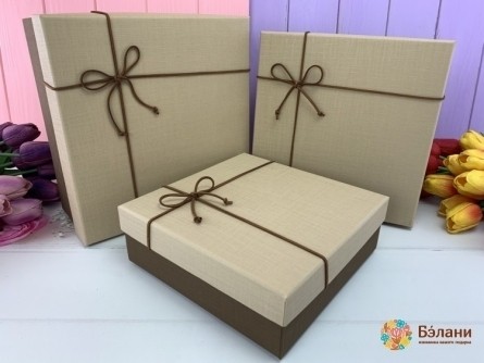 Cutie Cadou „Stil Masculin” Bej