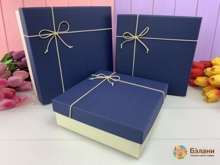 Cutie Cadou „Stil Masculin” Albastru