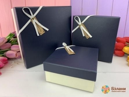 Cutie Cadou „Stil” Albastru