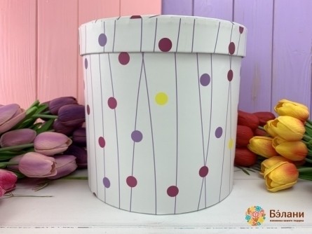 Cutie Rotundă "puncte"