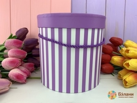 Cutie Rotundă „Liniile De Culoare” Liliac