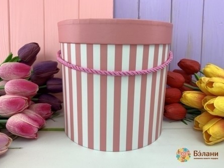 Cutie Rotundă "linii De Culoare" Roz