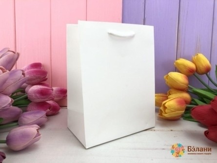 Geantă Cadou "o Culoare" Alb M