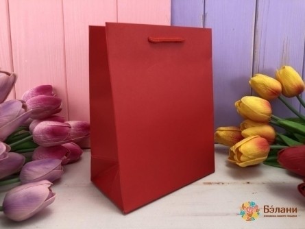 Geantă Cadou „O Culoare” Roșu M