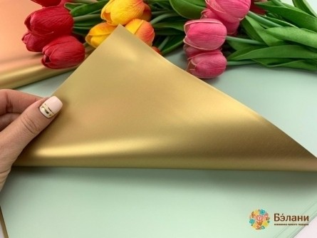 Urmărirea Acvamarinei „Aur” Din Hârtie